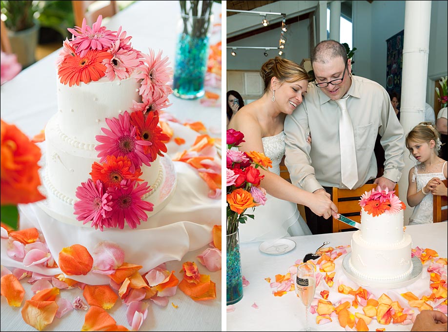 Cake Cutting