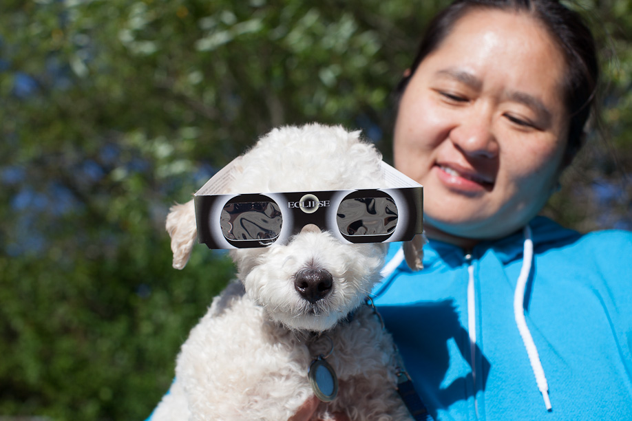 Bailey models eclipse glasses with Yuching