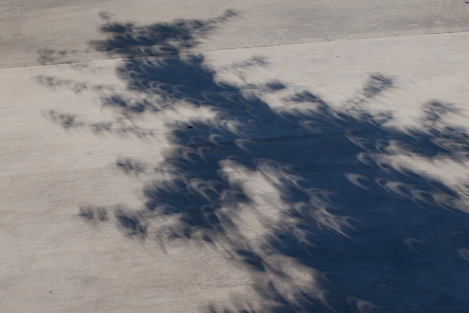 Eclipse Shadows