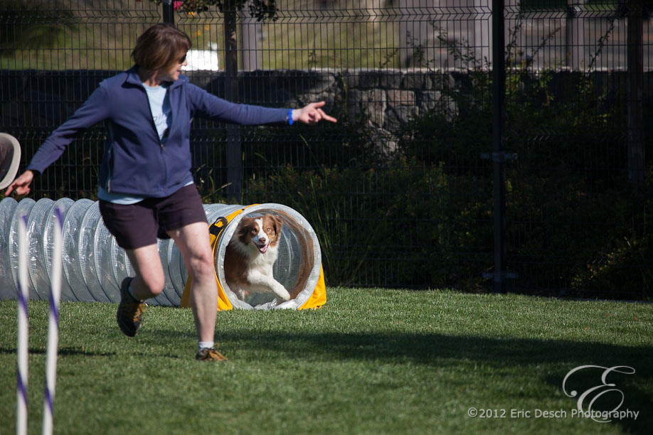 Agility Fun Match