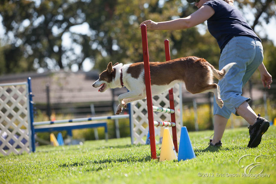 Agility Fun Match