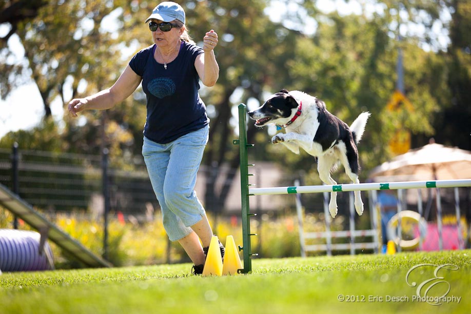 Agility Fun Match