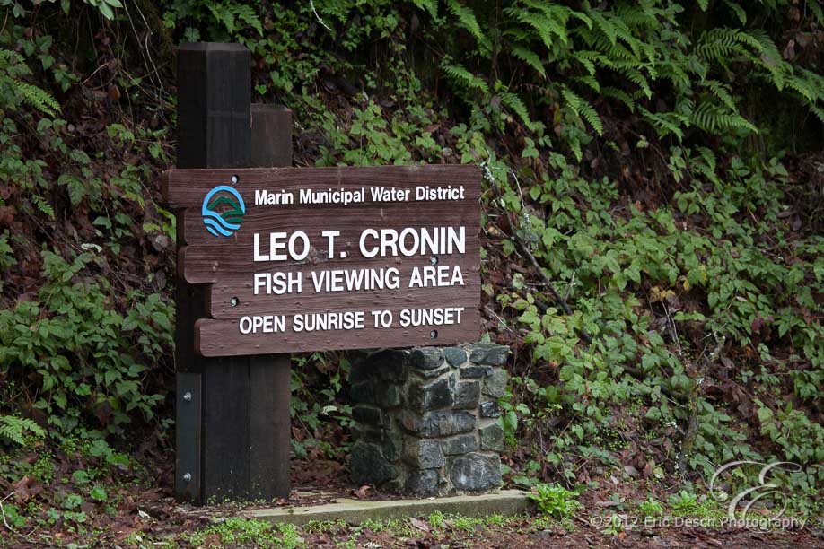 Leo Cronin Sign