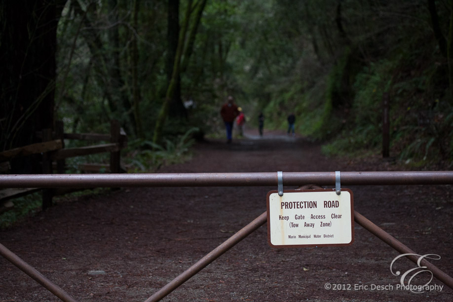 Fish Viewing Trail