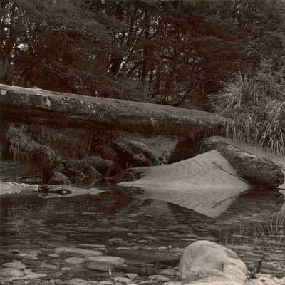 Milford Track