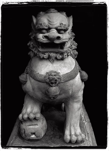 Guardian Lion