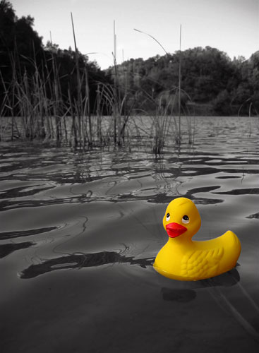 Rubber Ducky